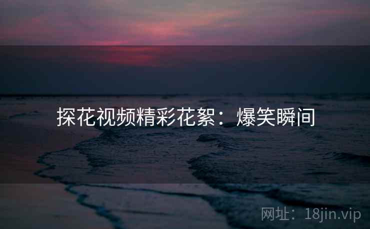 探花视频精彩花絮：爆笑瞬间