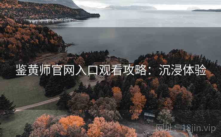 鉴黄师官网入口观看攻略：沉浸体验